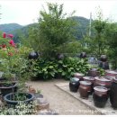 봉팔이네 이미지