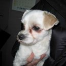 연서 동물병원 이미지