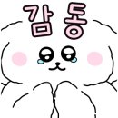 피네토 이미지
