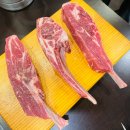 안산스타 | [안산 맛집] 안산 월피동 양꼬치 맛집 양스타 방문 후기