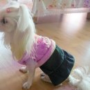 수성고등학교 이미지