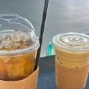 리츠펫 동탄능동점 이미지