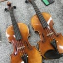 바이올린 | 평택에서 서울 서초동까지? 초등 바이올린 구매 성공 후기.