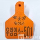 횡성한우협동조합 이미지