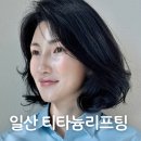 삼부빌딩 | 일산 주엽 피부과 티타늄리프팅 후기 땅콩형 얼굴 팔자 통증 회복 관리 과정