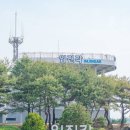 임진각 관광안내소 티스토리