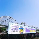 서울근교 포도따기체험, 화성 송산 한가네농원 , 화성송산포도축제 후기