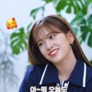 라포약국 이미지