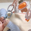 포동이농장 | 육아템추천 다쥬베베 아기체육관 플레이매트 실사용 후기 4개월부터 제대로 쓰기 시작했어요