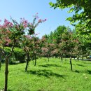 제5회 2020 청소년페스티벌 이미지