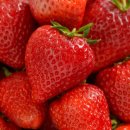 아이유동물메디컬센터 이미지