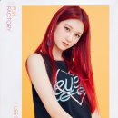 모먼트나인