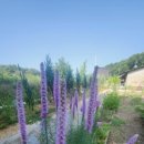 다진농장 이미지