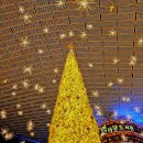 금빛작은도서관 이미지