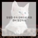 여행자를 위한 스마트폰 활용법 | 스마트한 드라이브 여행자를 위한 주차비 절약 마법! 주차 계산기 활용법 정복하기