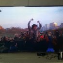 빠바복싱 이미지