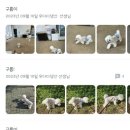 우다다댕산 이미지