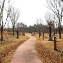 김해김씨 열녀문 이미지