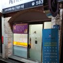 펫미인 이미지
