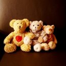 연세기쁨정형외과의원 이미지