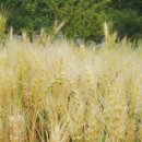 소영농장 이미지