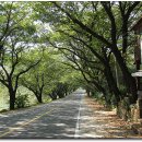 마마스민박 | 지리산 마마스펜션에 대해서...