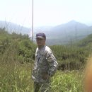 예산읍011 Daum카페