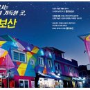 캠프보산카니발행사 이미지