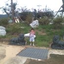 길곡초등학교 이미지