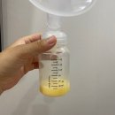 CU 성남태평씨티점 | 내돈내산 성남 드이자르 산후조리원 2주 후기 (마사지, 식사, 시설, 주차) 초유 색깔