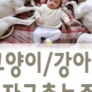 더본 동물병원 이미지