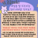 목포중앙여자중학교 이미지