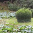 동신대학교 미래학사 앞 이미지