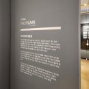 잠실전시회 내셔널지오그래픽 사진전 관람 후기