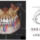 기분좋은 치과기공소 이미지