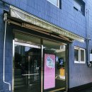 아름다울개 이미지