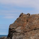 궁촌의 아침 민박 | 알레버스 타고 해파랑길 30코스 후기