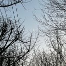 황성한우장터 | [1월 Daily] 부디 현명하게 지내자