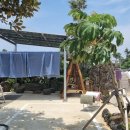 스테이 소예 이미지