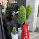 장평카센타 이미지