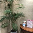 공항치과의원 이미지