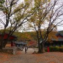 옥계계곡 추경_보경사 상사해변 옥계계곡 &#39;20.10.31~11.1