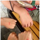 홈런성인오락실 | 빈펄 섬 안의 놀이동산 빈원더스 - 짚라인 / 알파인코스터 / 워터파크 / 타타쇼 후기 및 팁