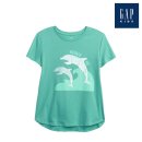 키즈돌핀 이미지