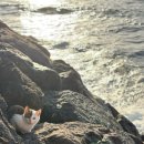 플라이무드 | 260124~260125 제주여행 - 동경밥상, 숙소 플라이무드, 귤메달 등