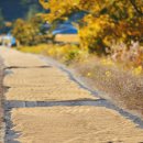 은행마을 이미지