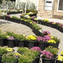 추계진료소 이미지