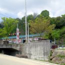 진달래 핀 풍경 이미지