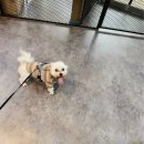 시마동물병원 이미지