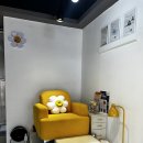 더뮤어 이미지
